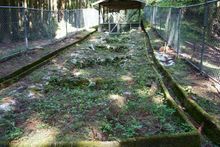 기시타케 고요 飯洞甕下窯의 가마터(가라쓰시 기타하타 히에다)