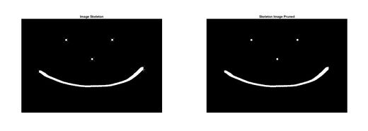 왼쪽부터 순서대로 원본 이미지, 골격화된 이미지, 가지치기된 이미지