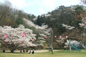 요시노야마 공원