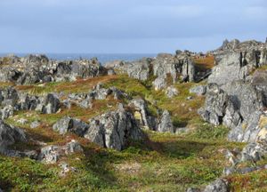슬레트네스 자연 보호 구역의 모습