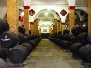 셰리(Sherry) 숙성 중