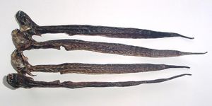 일본 건어물 와라스보