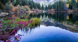 화이트강 국유림 동쪽의 리자드 호수, 콜로라도주 마블