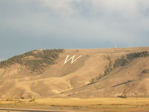 웨스턴 콜로라도 대학교