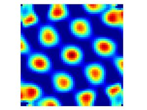 격자 세포의 신경 활동에 대한 공간 자기상관도
