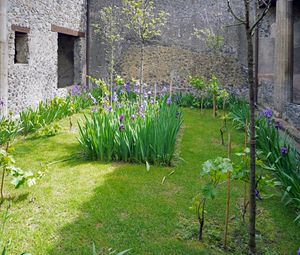 폼페이 카사 델라 나베 에우로파(Casa della Nave Europa)에 복원된 소형 정원. 나무, 꽃, 기타 식물의 혼합 식재를 보여준다.