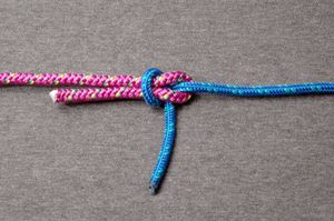 파란색 밧줄(오른쪽)이 이 시트 벤드에서 빨간색 밧줄(왼쪽)의 고리에 반고리로 묶여 있다.