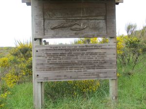 오리건주 플로렌스 밖의 좌초된 고래 기념비