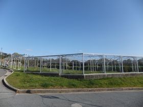 시설에 있는 포도밭