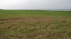 건기(9월 말)의 우레마 호수