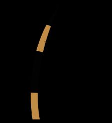 털대에 번갈아 나타나는 띠를 보여주는 아구티 털