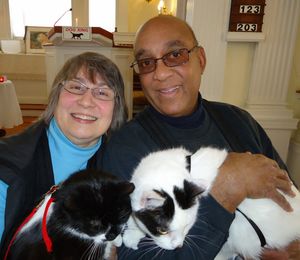 미국 뉴저지에서 치료 활동을 하는 고양이들