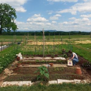 ft}} 커뮤니티 정원 구획.