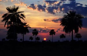 야생 동물 보호 구역 "에스테로스 데 카마구안"