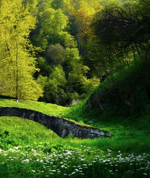 괴이괼 국립공원