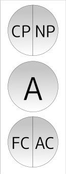 PAC 모델(더 세분화된 것)