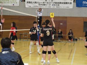 배구의 선수 교체