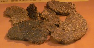 레닌그라드 포위전 당시 명아주 씨앗과 겨로 만들어지고 미네랄 오일에 튀긴 에르자츠 음식