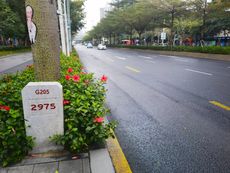 국도 제205호선, 2975km 지점 이정표