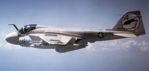 VA-35 "블랙 팬서스" 소속 A-6C