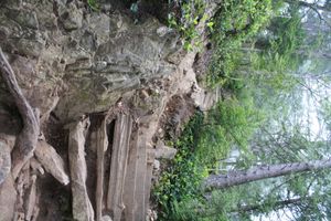 그라우스 그라인드 하이킹 트레일