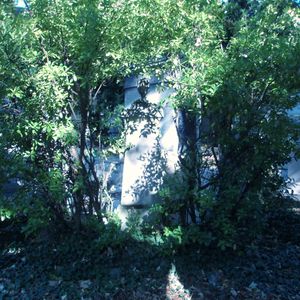 페르 라셰즈 묘지에 있는 비샤의 묘