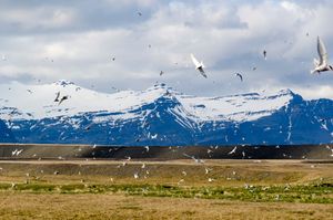 아이슬란드 남부