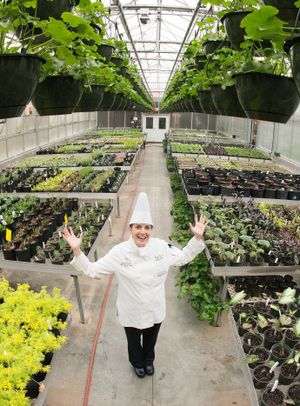 미국 조지아주 로렌스빌의 요리 학교에서 사용되는 식용 식물이 있는 온실