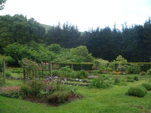 그린 걸치 농장 선 센터