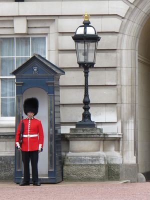버킹엄 궁전 밖에서 근무 중인 근위 보병 연대