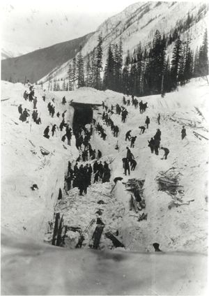 CPR 작업자들이 1910년 로저스 패스 산사태(1910 Rogers Pass avalanche)에서 매몰된 동료를 구조하려 하고 있다.