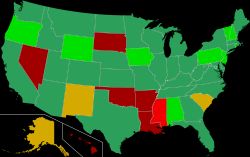 2024년 미국 총선에서 기명 후보 요건