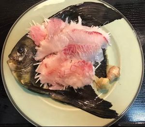 깃털제비활치 사시미