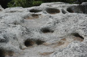 캘리포니아주 요세미티 국립공원 글레이셔 포인트의 화강섬록암에서 발견되는 판홀