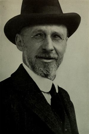 세실 스프링 라이스 경