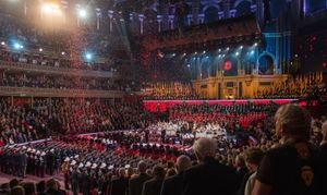 2015년 로열 브리티시 리전이 주최한 리멤버런스 데이 페스티벌 (로열 앨버트 홀, 런던)