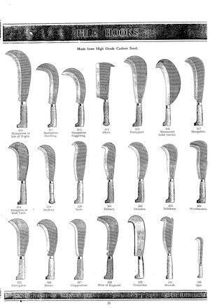 다양한 형태의 나대