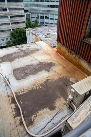 지붕이 손상된 캡슐