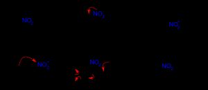 방향족 나이트로화 메커니즘