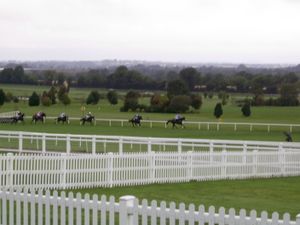 나반 경마(2007년 9월)