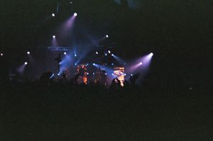 2011년 7월 9일 뉴욕주 마리아빌 호수에서 열린 캠프 비스코 X에서 공연하는 NERO.