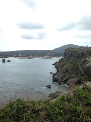 만좌모 (오키나와현 온나촌)에서 바라본 온나다케 산. 온나다케 도마뱀붙이는 일본에서는 이 산에서 처음 발견되었지만, 실제로는 세계의 광역에 분포한다.