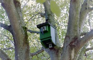 독일 알텐베켄의 새집