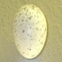 옅은 황갈색 반점이 있는 크림색 알