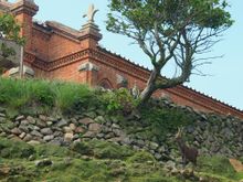 노쿠비 교회와 야생 사슴