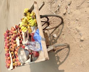인도의 과일 판매상의 맞춤형 이동식 노점
