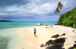 섬의 해변에 있는 방문객.