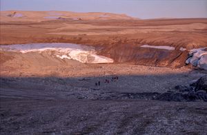 노르아우스틀라네섬은 북극 사막이다.