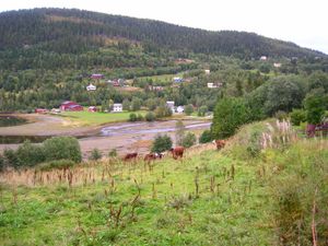 노르웨이 대부분 지역에서 중보레알 지대는 가문비나무 숲이 우세하며 일부 농업도 이루어진다. 엘스피오르의 9월