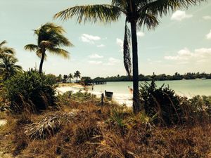 노스마이애미의 해안